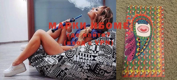 индика Володарск