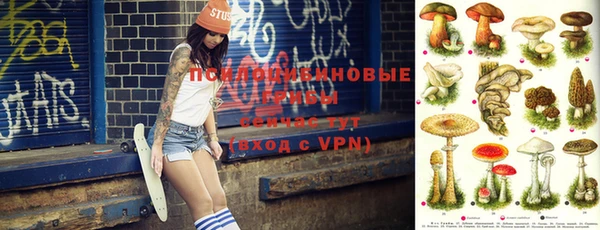 индика Володарск