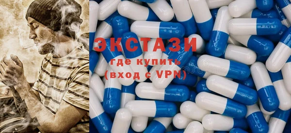 индика Володарск