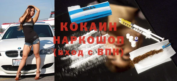 индика Володарск