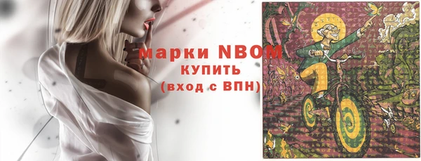 индика Володарск