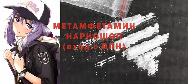 индика Володарск