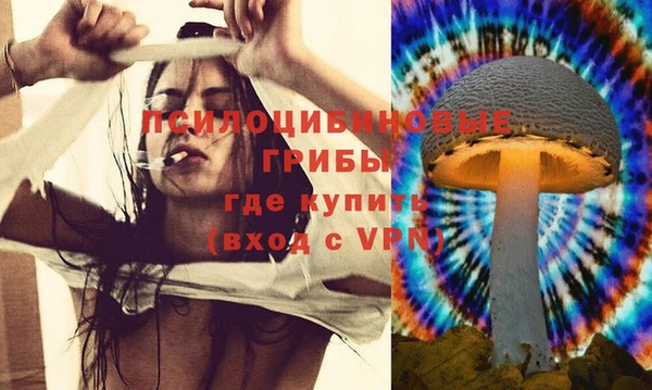 индика Володарск